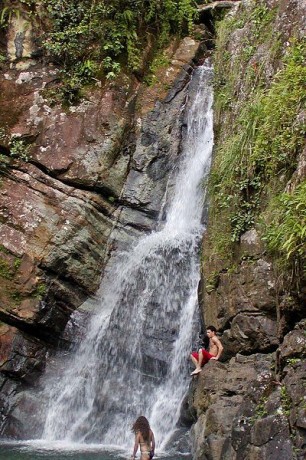 400px La Mina Falls 306x460 El Yunque, el bosque de Puerto Rico