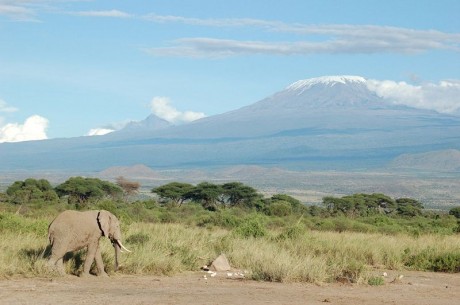 Kilimanjaro 460x305 El místico Kilimanjaro