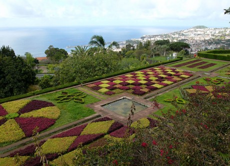 Madeira Jardín Botánico 460x332 Madeira, un trocito de Europa en el Atlántico