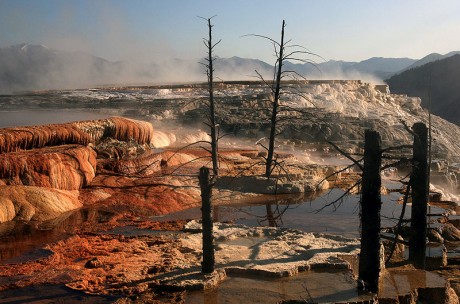 Mammoth Hot Springs 460x304 El corazón ardiente de Yellowstone