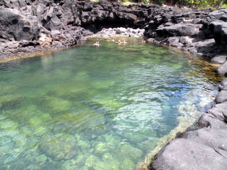 Queens Bath Kauai Hawaii 460x345 Queens Bath, una piscina natural al lado del mar