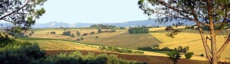 Umbria Panorama 460x129 Umbría, el corazón verde de Italia