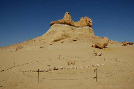 Wadi Al Hitan Wadi Al Hitan, el valle de las ballenas prehistóricas