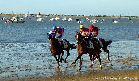carreras caballos playa sanlucar Carreras de caballos en Sanlucar, Cádiz