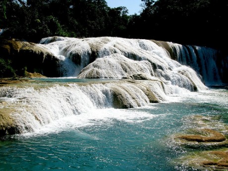 cascadas 460x345 Las Cataratas de Agua Azul, un paraíso turquesa en Chiapas