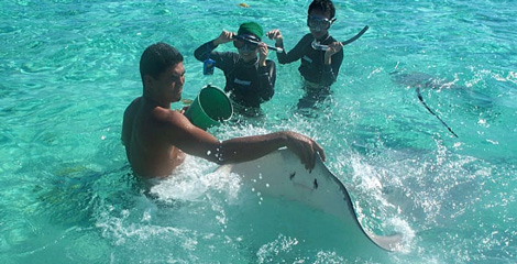 excursion ver rayas mar Destinos de buceo ¿Te gusta bucear o hacer snorkeling?