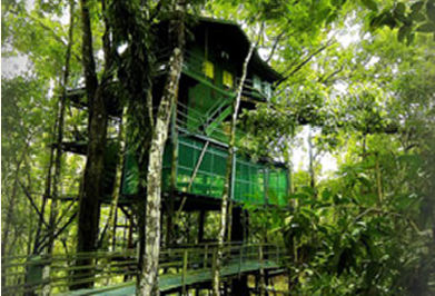 hotel1 Dormir en el Amazonas