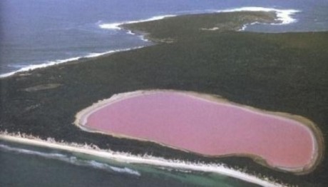 lago1 460x262 Lago Hillier, acumulación de agua rosa