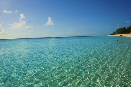 playa2 460x306 El paraíso natural de Aldabra